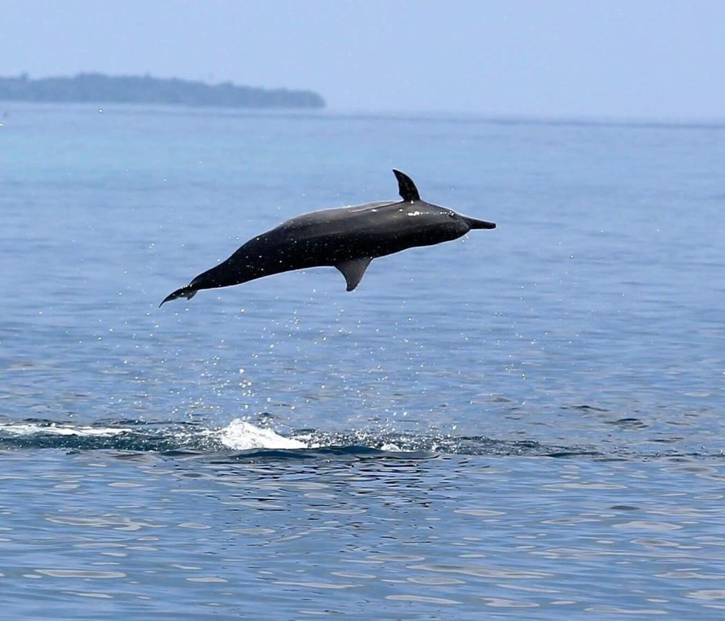 Medhufaru Inn Guraidhoo (Kaafu Atoll) Eksteriør billede